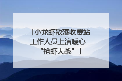 小龙虾散落收费站 工作人员上演暖心“抢虾大战”