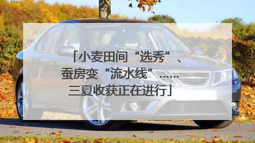 小麦田间“选秀”、蚕房变“流水线”……三夏收获正在进行