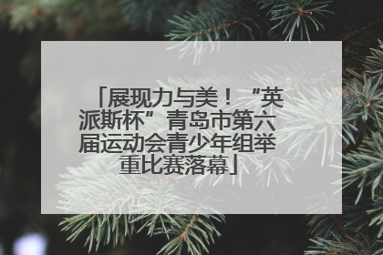 展现力与美！“英派斯杯”青岛市第六届运动会青少年组举重比赛落幕