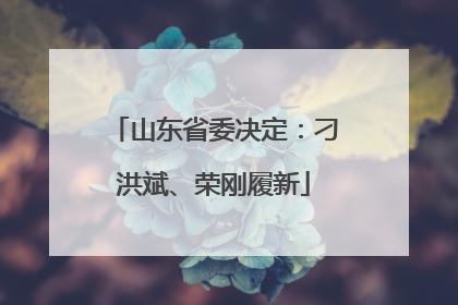山东省委决定：刁洪斌、荣刚履新