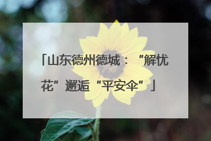 山东德州德城：“解忧花”邂逅“平安伞”