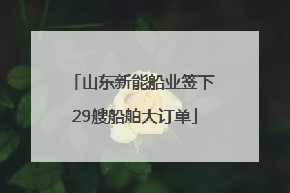 山东新能船业签下29艘船舶大订单