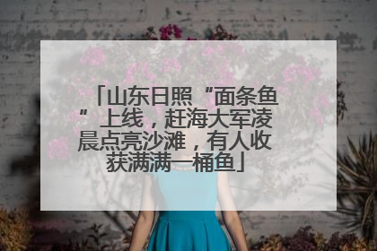 山东日照“面条鱼”上线，赶海大军凌晨点亮沙滩，有人收获满满一桶鱼