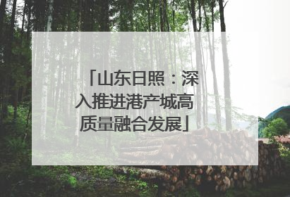 山东日照：深入推进港产城高质量融合发展