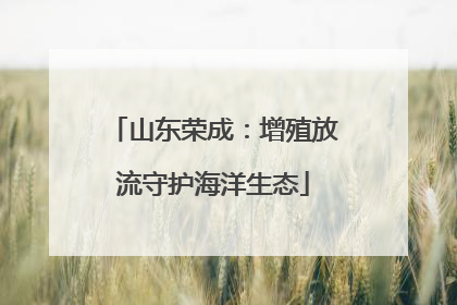 山东荣成：增殖放流守护海洋生态