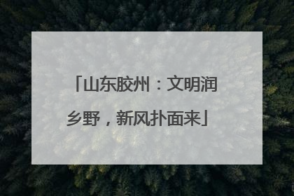 山东胶州：文明润乡野，新风扑面来