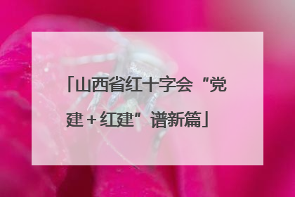 山西省红十字会“党建＋红建”谱新篇