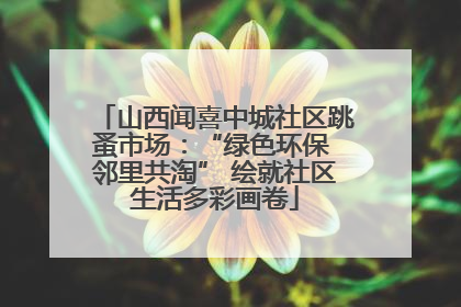山西闻喜中城社区跳蚤市场：“绿色环保 邻里共淘” 绘就社区生活多彩画卷