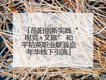 岳阳创新实践“电竞+文旅” 和平精英职业联赛嘉年华线下引流