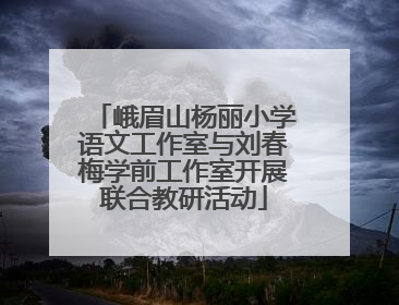 峨眉山杨丽小学语文工作室与刘春梅学前工作室开展联合教研活动