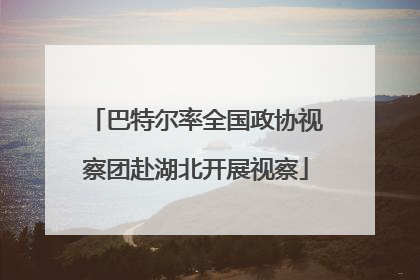 巴特尔率全国政协视察团赴湖北开展视察