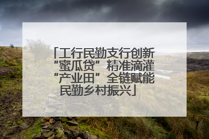 工行民勤支行创新“蜜瓜贷”精准滴灌“产业田”全链赋能民勤乡村振兴