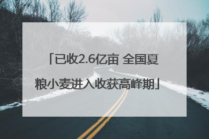 已收2.6亿亩 全国夏粮小麦进入收获高峰期