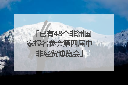 已有48个非洲国家报名参会第四届中非经贸博览会
