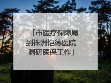 市医疗保障局到株洲恺德医院调研医保工作