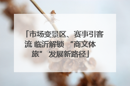 市场变景区、赛事引客流 临沂解锁 “商文体旅” 发展新路径