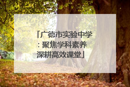 广德市实验中学：聚焦学科素养 深耕高效课堂