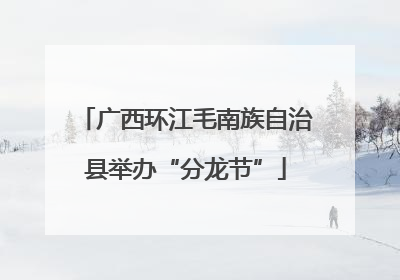 广西环江毛南族自治县举办“分龙节”