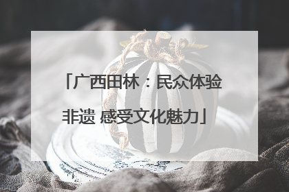 广西田林：民众体验非遗 感受文化魅力