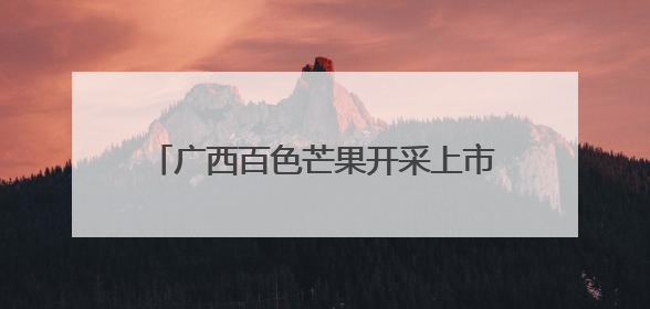 广西百色芒果开采上市 首日签约1.2亿元