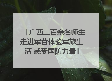 广西三百余名师生走进军营体验军旅生活 感受国防力量
