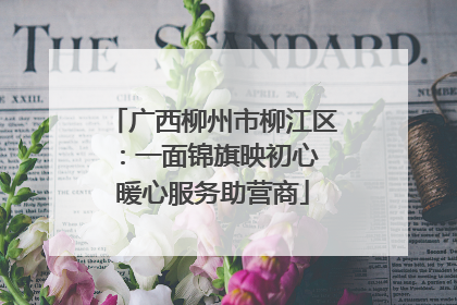 广西柳州市柳江区：一面锦旗映初心 暖心服务助营商