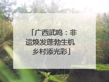广西武鸣：非遗焕发蓬勃生机 乡村添光彩