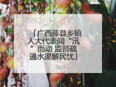 广西藤县乡镇人大代表闻“汛”而动 监督疏通水渠解民忧