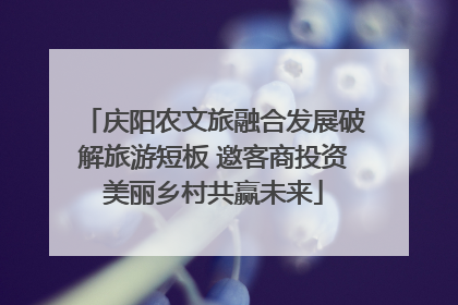 庆阳农文旅融合发展破解旅游短板 邀客商投资美丽乡村共赢未来