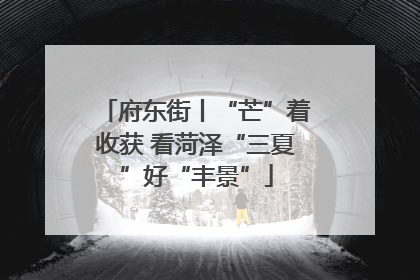 府东街丨“芒”着收获 看菏泽“三夏”好“丰景”