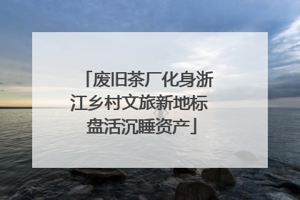 废旧茶厂化身浙江乡村文旅新地标 盘活沉睡资产