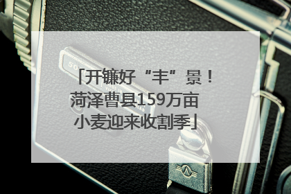 开镰好“丰”景！菏泽曹县159万亩小麦迎来收割季