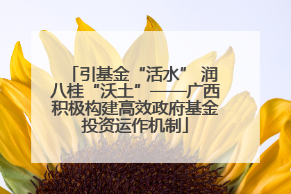 引基金“活水” 润八桂“沃土”——广西积极构建高效政府基金投资运作机制