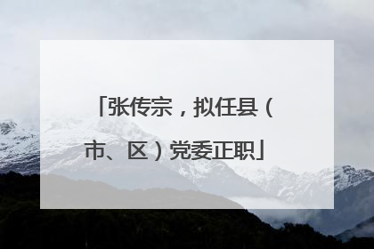 张传宗，拟任县（市、区）党委正职