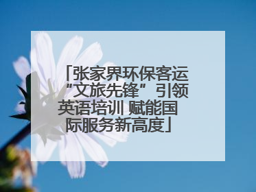 张家界环保客运“文旅先锋”引领英语培训 赋能国际服务新高度