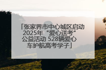 张家界市中心城区启动2025年“爱心送考”公益活动 528辆爱心车护航高考学子