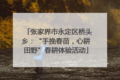 张家界市永定区桥头乡：“手挽春苗，心耕田野”春耕体验活动