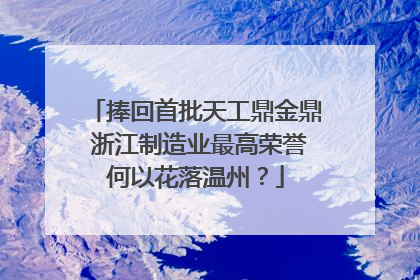 捧回首批天工鼎金鼎 浙江制造业最高荣誉何以花落温州？