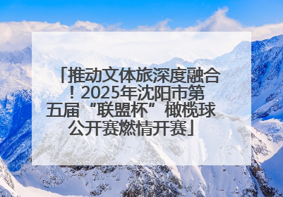 推动文体旅深度融合！2025年沈阳市第五届“联盟杯”橄榄球公开赛燃情开赛