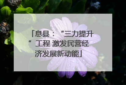息县：“三力提升”工程 激发民营经济发展新动能