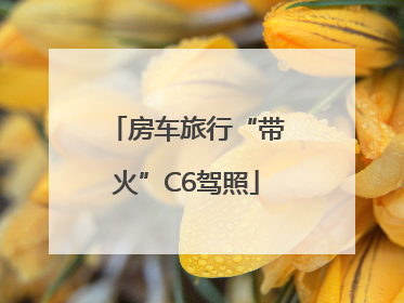 房车旅行“带火”C6驾照