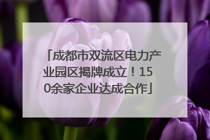 成都市双流区电力产业园区揭牌成立！150余家企业达成合作