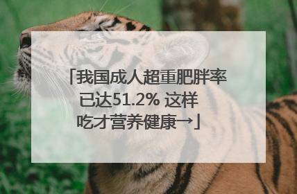我国成人超重肥胖率已达51.2% 这样吃才营养健康→
