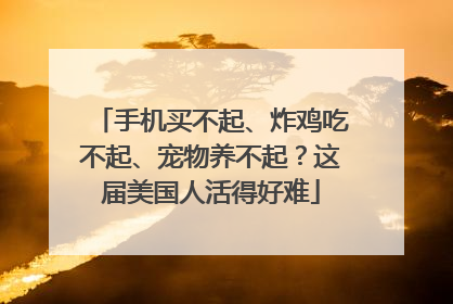手机买不起、炸鸡吃不起、宠物养不起？这届美国人活得好难
