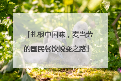 扎根中国味，麦当劳的国民餐饮蜕变之路