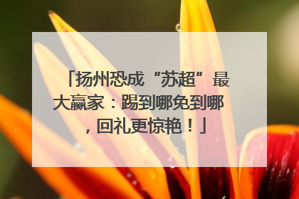 扬州恐成“苏超”最大赢家：踢到哪免到哪，回礼更惊艳！