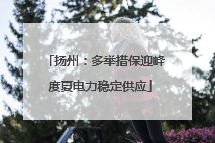 扬州：多举措保迎峰度夏电力稳定供应