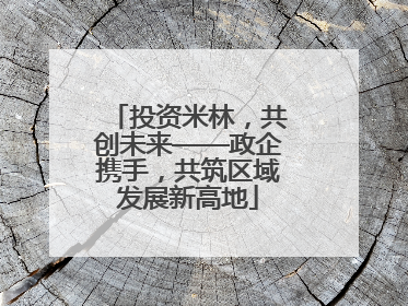 投资米林，共创未来——政企携手，共筑区域发展新高地