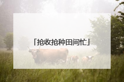 抢收抢种田间忙