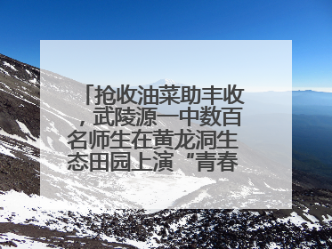 抢收油菜助丰收，武陵源一中数百名师生在黄龙洞生态田园上演“青春助农记”